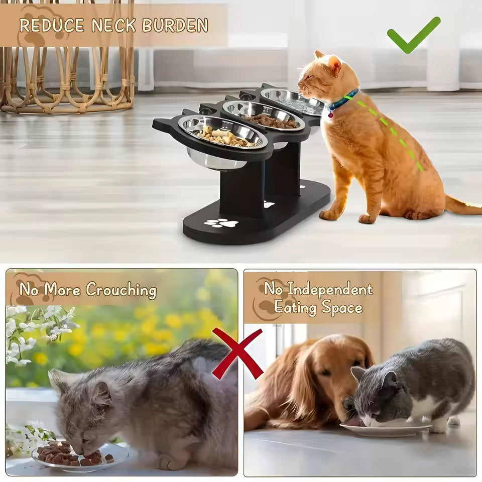 Triple Elevated Stainless Steel Cat Bowl Set