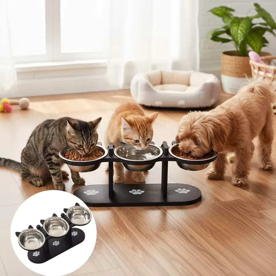Triple Elevated Stainless Steel Cat Bowl Set